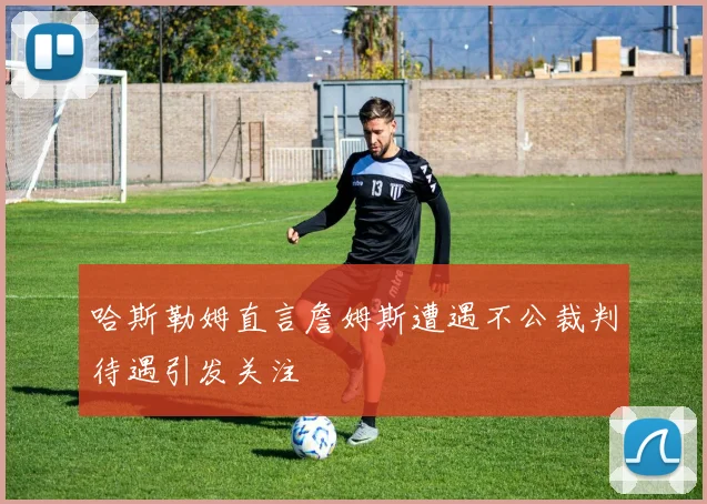 哈斯勒姆直言詹姆斯遭遇不公裁判待遇引发关注